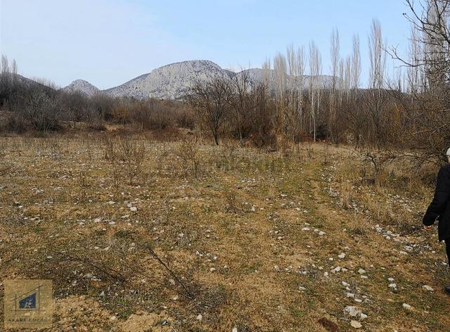 Bilecik Söğüt Tuzaklı Sulu Tarla - Yan Parsellerle Genişletilir 4