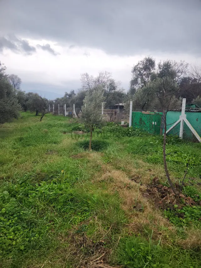 Araç Takaslı Sahibinden Satılık Yatırımlık Arsa 4