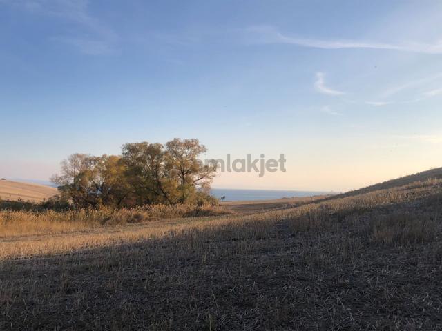Şarköy De Işık Emlaktan Kızılcaterzi Mah De 3700 M2 Tarla 3