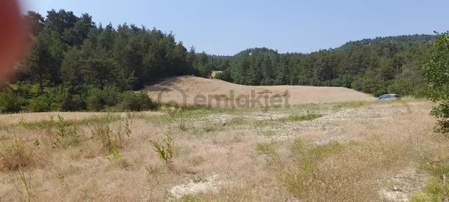 Sahibinden Yola Cephe Anayol 400m.düz 4 Dönüm Sakarya Geyve Taraklı Termal Dibi Arazi 4