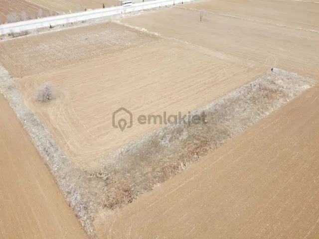 Denizli Baklan Konak Da 1103 M2 Tek Tapu Tarla Karadeniz Emlakta 2