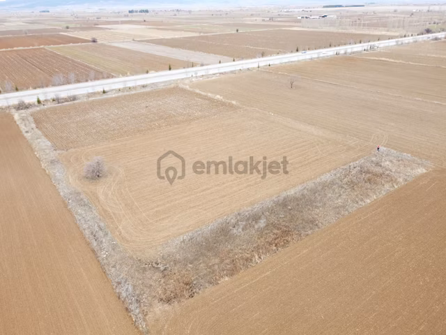 Denizli Baklan Konak Da 1103 M2 Tek Tapu Tarla Karadeniz Emlakta 1