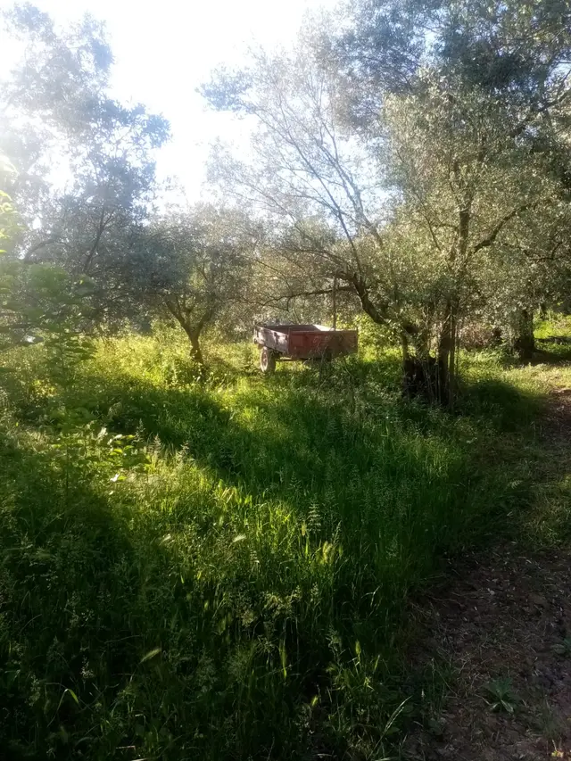 Güneyden Bursa İznikte Satılık 635m2 Köyün Yanı Başında Arsa 3
