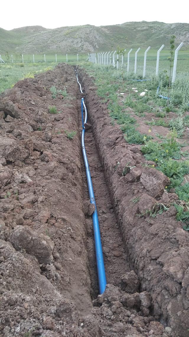 Çukurbelende Altyapısı Tamamlanmış, 1 Dönüm Meyve Bahçesi 4