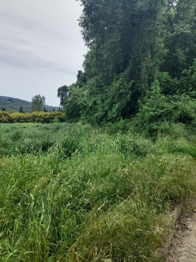 Dalaman Narlıda Satılık 8506 M2 Bahçe Ve Köyevi 5