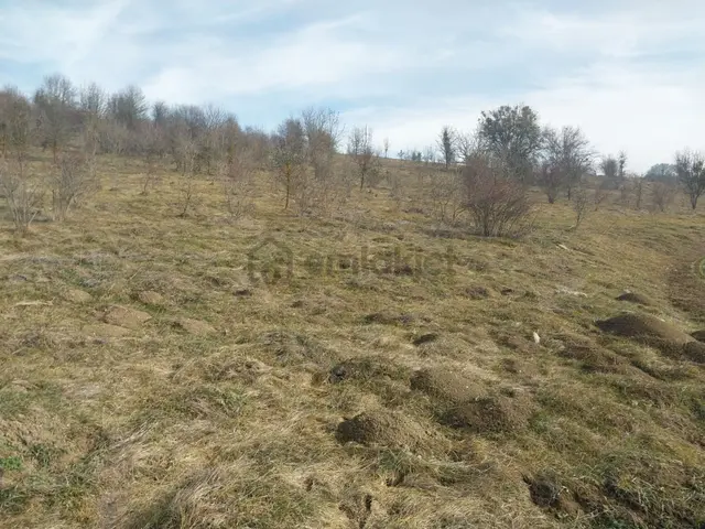 Kastamonu Seydiler İmrenler Köyünde Satılık Tarla 3