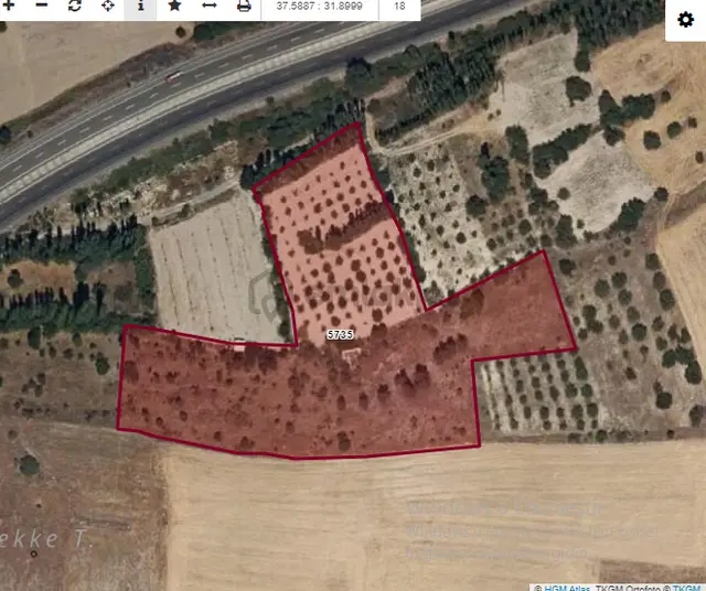 Özpınar,dan Çavuş Köyü Satılık 14 395 M2 Yol Kıyısı 60 M . Ceviz Bahçesi 1