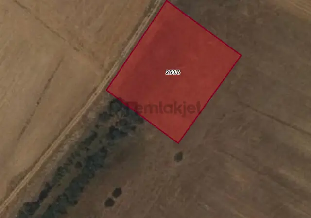 Satılık Tarla Ortaköy Balcı Köyde Tarla 230 1