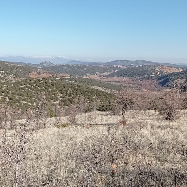 Şehitkamil Sarılar Da Satılık Fıstıklık 6.730.39 M2 3