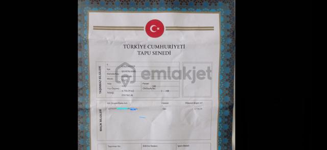 Şehitkamil Sarılar Da Satılık Fıstıklık 6.730.39 M2 5