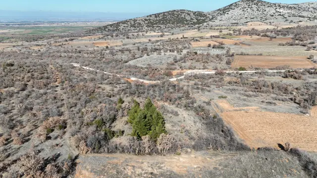 Denizli Bekilli Köselli Mahallesinde Satılık 8300 M² Tarım Arazi 3