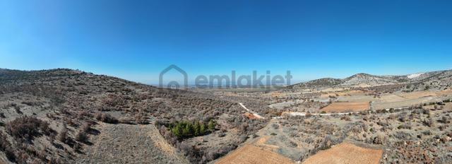 Denizli Bekilli Köselli Mahallesinde Satılık 8300 M² Tarım Arazi 5