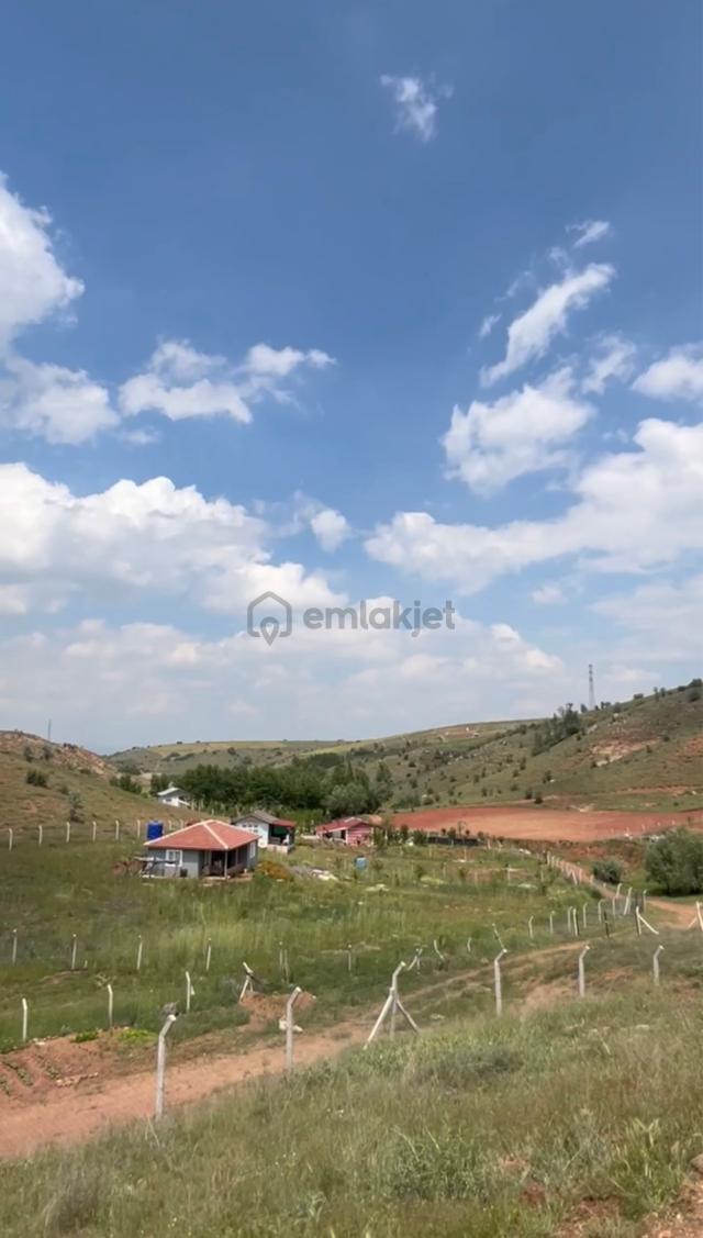 Peçenek - Kavaklı Arası Asfalta Yakın 250m2 500m2 Oluşan Telli Kapılı Hobi Bahçeleri 5