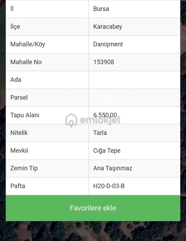 Rt Yılmaz Gayrimenkul'den Karacabey Danışment Satılık Zeytinlik 3