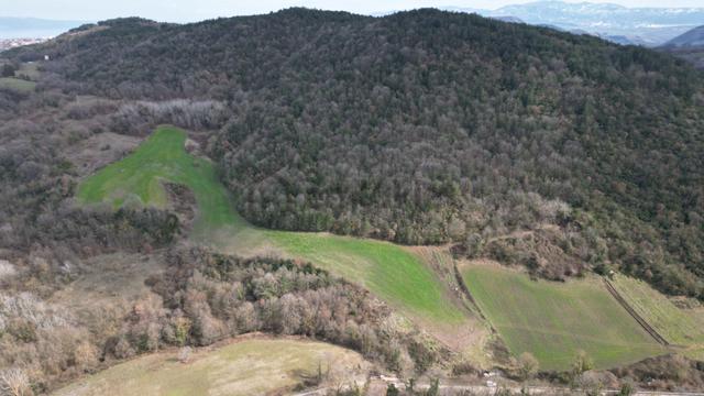 Yalova Altınova Tavşanlı Satlık 21.236 M2 Tarla 5