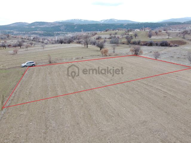 Denizli Çardak Söğüt De 1660m2 Tek Tapu Tarla Köy Yanı 5