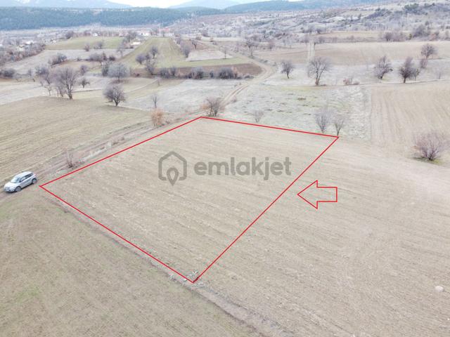 Denizli Çardak Söğüt De 1660m2 Tek Tapu Tarla Köy Yanı 1