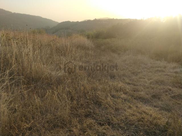 Seçköyde 1245m.yatirimlik Tarla 3