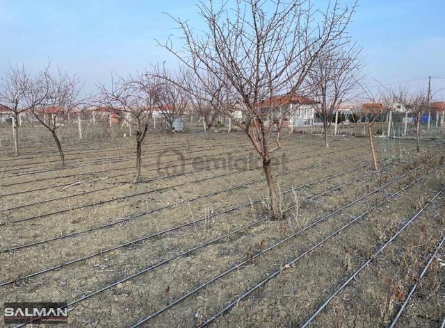 Salman'dan Çorum Merkeze 15 Km Uzaklıkta Satılık Hobi Bahçesi 5