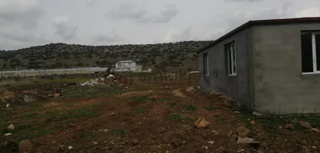 Uyaran79gayrimenkulden İçinde 2+1 Evi Olan 250 Fidanlı Zeytinlik 5