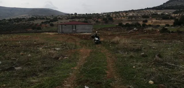 Uyaran79gayrimenkulden İçinde 2+1 Evi Olan 250 Fidanlı Zeytinlik 1