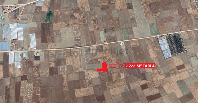 Antalya Elmalı Bozhüyük 2.220 M² Müstakil Parsel Tek Tapu Tarla 4