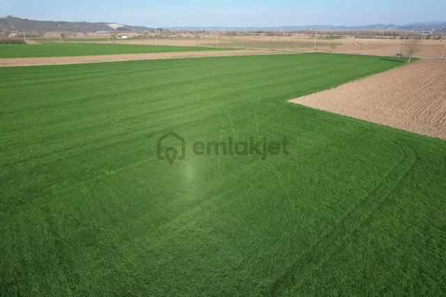 Asfalta Cepheli %40 Ticari + Konut İmarlı 7.373 M2 Mükemmel Konumda Arsa 3