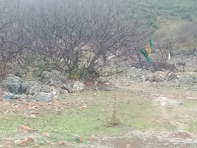 Alanya Güzelbağ Fatih Mah.üççam Mevkii Satılık 25.500 M2 Tarla 3