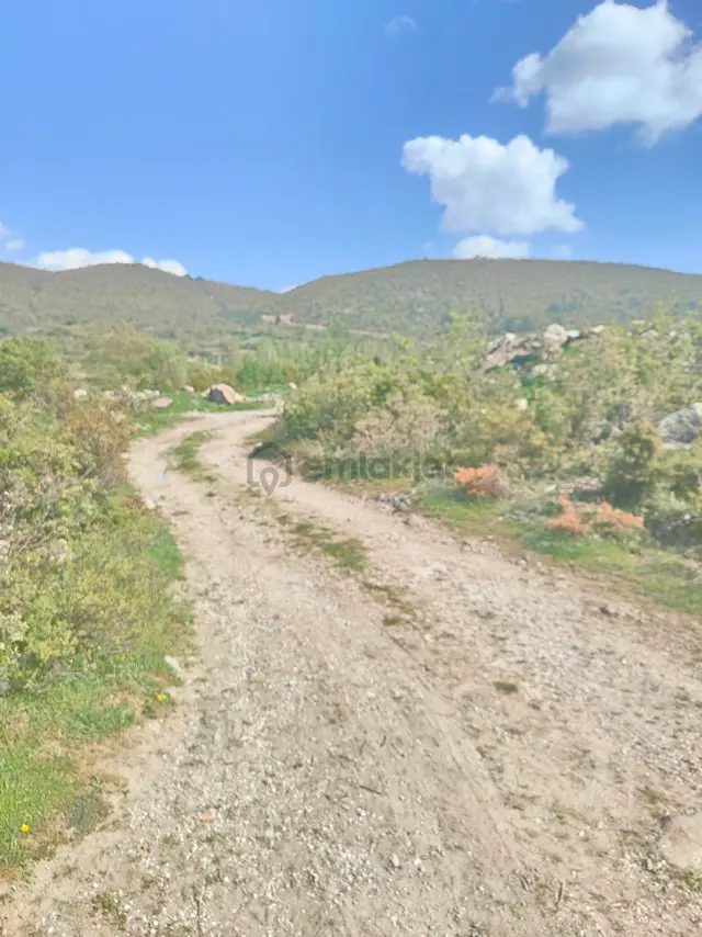 Bayındır Gayrimenkul - Izmir Kınık Yaylaköy Satılık Tarla 2