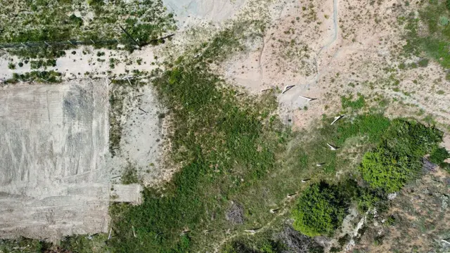 Arkadaş Emlaktan 530 M2 Çok Acil Satılık Hobi Bahçesi 3