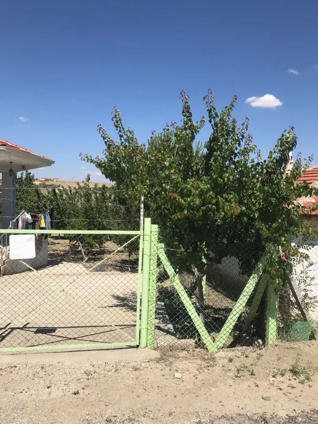Polatlı Bağ Evlerinde Satılık Bağ Evi 2