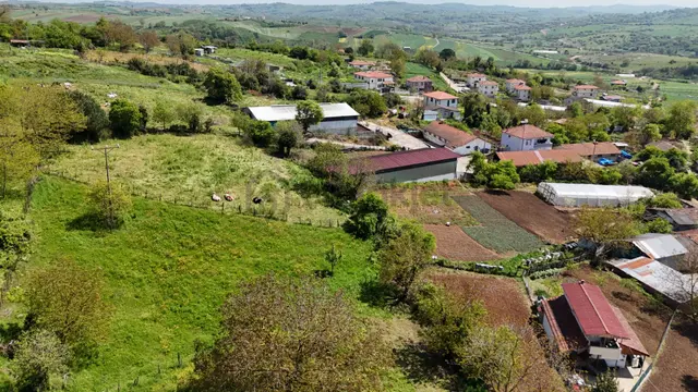 Alaybey(duraçali) 726 M2 Köyiçi Konut Alanı Satılık 4