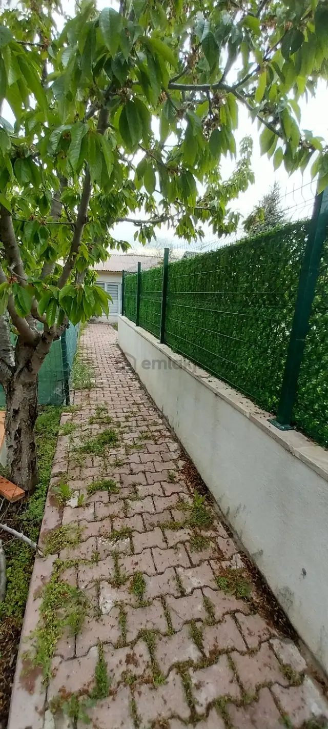 Kayseri Melikgazi Egribucak Kiralık Hobi Bahçesi Mustakil Taş Ev 3