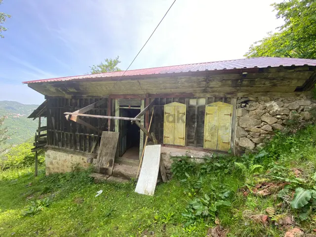 Trabzon Araklıda Satılık Ahşap Ev Ve Fındıklık 22 Dönüm 3