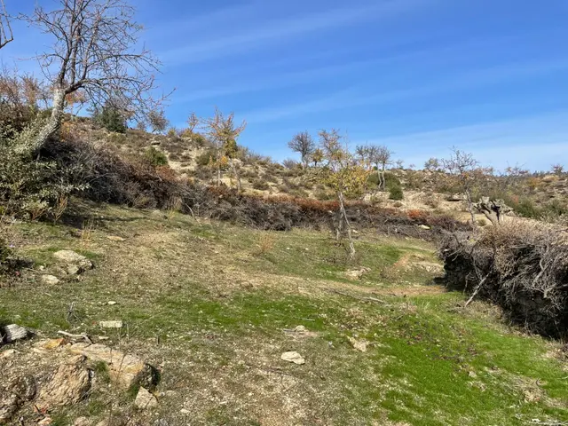 Koçarlı Karaağaçta Köyiçi, Resmi Yolu Olan Tarla 5