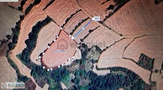 Kozan Gayrimenkul'den Satlık Malkara'da 4.428.45 M2 2