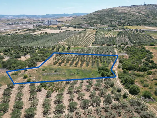 Çaltılıdere'de Kupon Satılık 4000m2 2