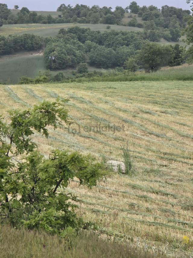 ▀▄artı'dan Sındırgı Kınık'ta Çift Kadastro Yollu Satılık 8957 M2 Tarla ▀▄ 5