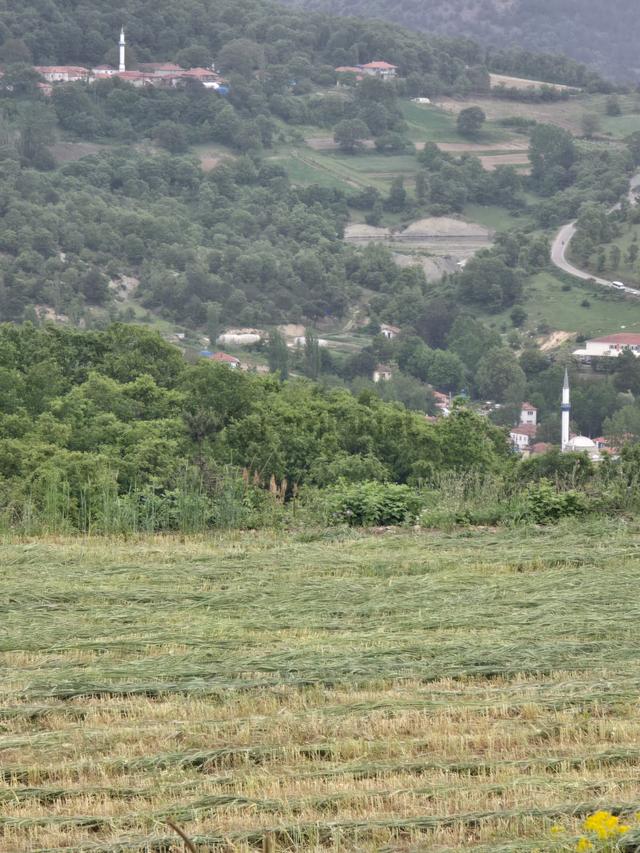 ▀▄artı'dan Sındırgı Kınık'ta Çift Kadastro Yollu Satılık 8957 M2 Tarla ▀▄ 4