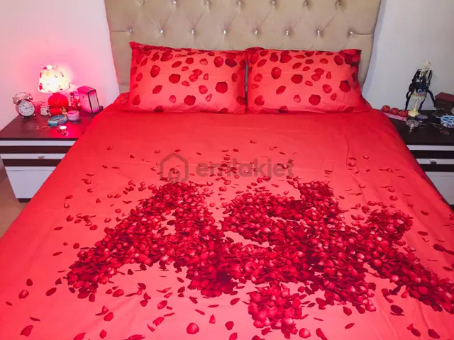 Kartal Pendik Günlük Kiralık Daireler Aydos Hava Alanı Lens 7/24 Hizmet 2