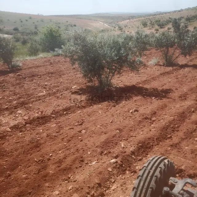 Utku Emlak Yatırım Danışmanlığı 3