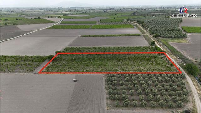 Zeki Emlak'tan Karayenice Mh. Yola Sıfır Satılık 5341 M ² Bağ 3