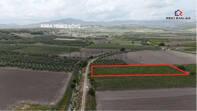 Zeki Emlak'tan Karayenice Mh. Yola Sıfır Satılık 5341 M ² Bağ 4