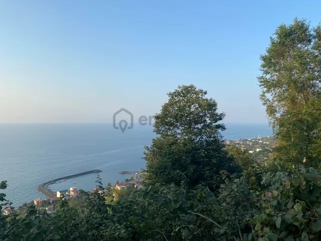 Trabzon Çarşıbaşı Kerem Mahallesi 2.507m2 Satılık Arsa 1