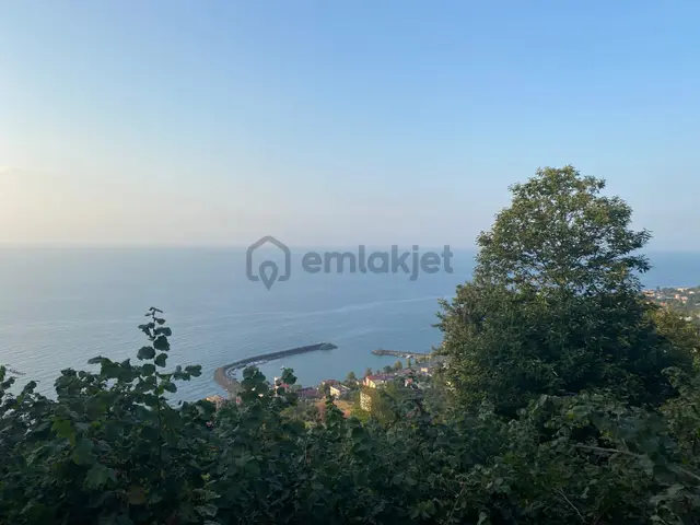 Trabzon Çarşıbaşı Kerem Mahallesi 2.507m2 Satılık Arsa 3