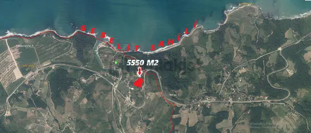 Ayancık Tarakçı Köyü Satılık 5550 M² Tarla 2