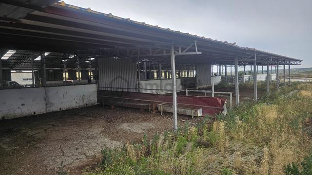 Yuvam Gayrimenkul'den Uşak Eşme İlçesinde Satılık 400 Büyükbaş Hayvan Çiftliği 5