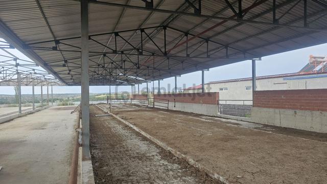 Yuvam Gayrimenkul'den Uşak Eşme İlçesinde Satılık 400 Büyükbaş Hayvan Çiftliği 4