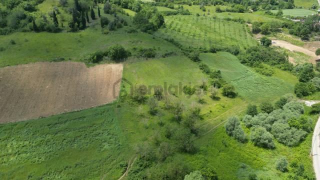 Kocaeli Karamürsel Yalakdere Mahallesi Satılık Tarla 6678 M2 3