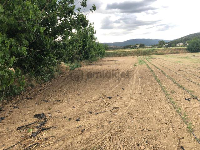 Büyükyenice Köyün'de Su Sıkıntısı Olmayan 600 M2 Satılık Tarla 3